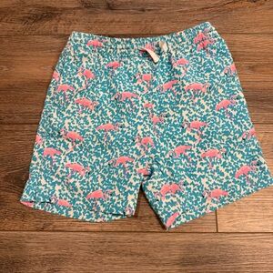 chubbies Kids The Domingo’s are for Flamingos Swim Trunks in Teal and Pink